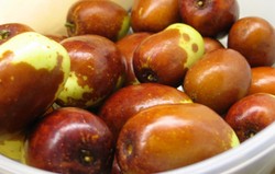 Herbal: Jujube