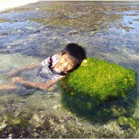 Indahnya Pantai Drini Gunung Kidul