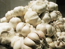 Bawang Putih Cegah Kanker!