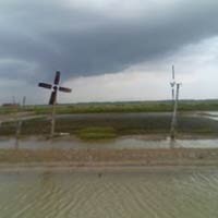 Tergilas Kincir Angin, Kaki Pekerja Tambak Udang Hancur