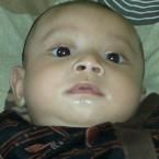 Muhammad Revan A Safari Putera, 6 Bulan; Lelaki; m Muhammad Revan A Safari Putera, 6 Bulan; Lelaki; m