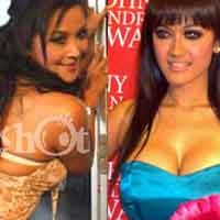 Pencalonan Artis Jadi Calon Bupati Bukti Kegagalan Parpol