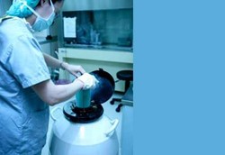 Pasien Kanker Testis dan Ovarium Masih Bisa Punya Anak