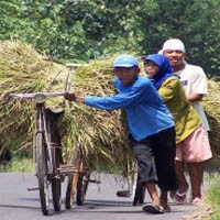 Siapa yang Peduli Nasib Petani