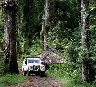 Membelah Gunung Halimun