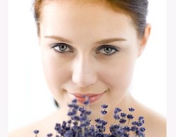 Manfaat Lavender Bagi Kesehatan