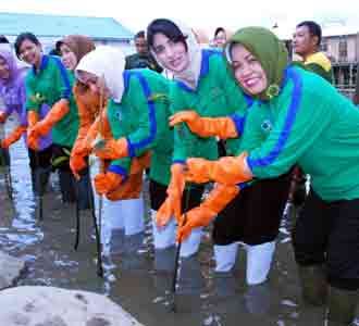 SIKIB Tanam Mangrove