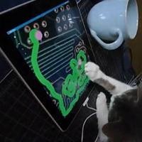 Kucing Pakai iPad Pukau Jutaan Netter