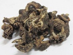 Kriuk Renyah Keripik Kul