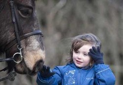 Sihir Kuda untuk Anak Autis