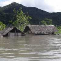 Sungai Taritatu Meluap, Puluhan Rumah di Mamberamo Papua Tenggelam