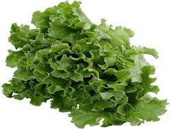 Lettuce: Si Selada Segar Pencegah Kanker