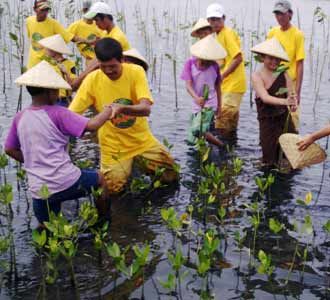 Anak-anak Tanam Bakau