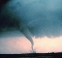 Regu Penyelamat Sisir Korban Akibat Tornado di Mississippi 