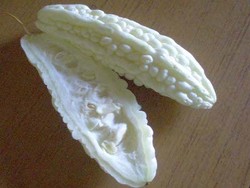 Pare Putih Obat Diabetes