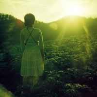 Lomonesia Berkembang ke Visual Art