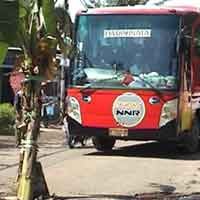 Jalan Rusak dan Berlubang, Warga Tanam Pohon Pisang
