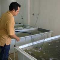 Pasar Ikan Terlengkap Hadir di Gedebage