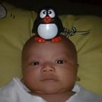 Muhammad Husain Athoillah, 1 Bulan; Lelaki; m