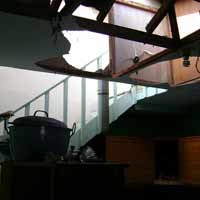 Daun-daun Berguguran Ketika Getaran Dahsyat Terjadi