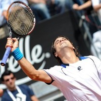 Atasi Verdasco, Ferrer ke Final