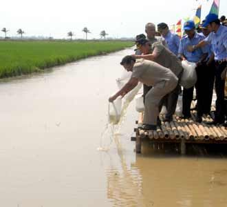 Fadel Muhammad Tebar Benih Ikan