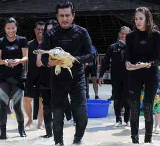 Pelepasan Penyu Sisik