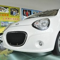 Panda Yang Menggemaskan