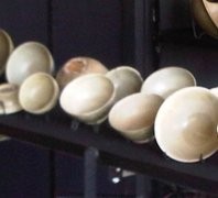 Pendaftaran Peserta Lelang Harta Karun Ditutup Pukul 15.00