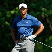 Stik Golf Tiger Woods Dilelang