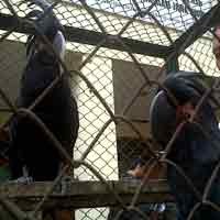 Kerugian Negara Senilai Puluhan Juta Berhasil Diselamatkan