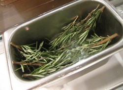 Rosemary