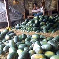 Tak Ada Aktivitas yang Menonjol di Pasar Koblen 