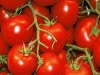 Saus Tomat Segar