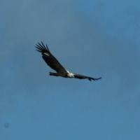 Banyuwangi, Surga Petualang di Ujung Timur Pulau Jawa