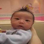 Collins Mclave Widjaja, 2 Bulan; Lelaki; m