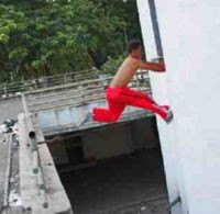  Kucing Adalah Guru Kita