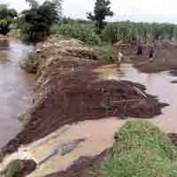 Warga Cemas Tanggul Jebol Belum Diperbaiki