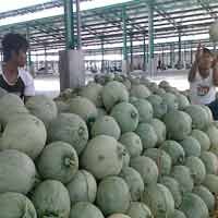 Meski Merugi, Pedagang Optimis PIOS Bakal Diserbu Pembeli