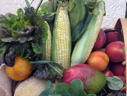 5 Cara Menambah Konsumsi Serat