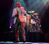 Konser Pitbull