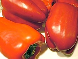 7 Makanan Penurun Berat Badan