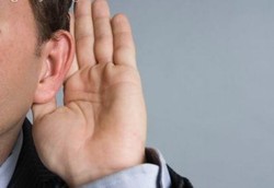 Rambut Telinga yang Rusak Bisa Diperbaiki dengan Sel Punca