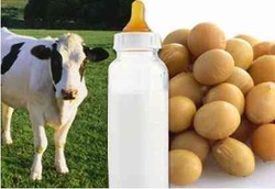 Susu Kedelai versus Susu Sapi, Mana Lebih Baik?