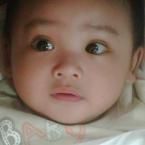 Kenzo S, 1,7 Tahun; Lelaki; m