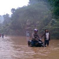 Banjir Kepung Pacitan, Warga Ungsikan Hewan Ternak 