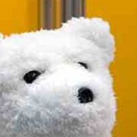 Fujitsu Pamerkan Robot Teddy Bear
