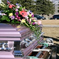 My Last Song, Situs Kapsul Waktu Digital