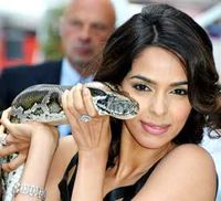 Mallika Sherawat Gendong Ular Piton