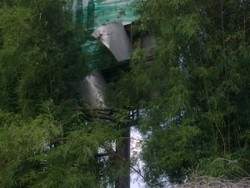 Polwan Gegana Koyak Papan Reklame dan Tabrak Pohon